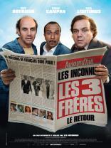 Les Trois frres, le retour (2013)