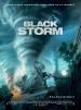 Into the Storm (Black Storm)