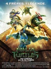 Teenage Mutant Ninja Turtles (Ninja Turtles)