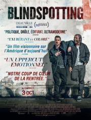 Blindspotting (Blindspotting)