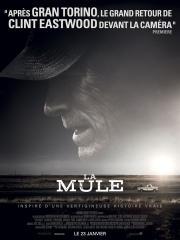 The Mule (La Mule)