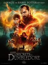 Les Animaux Fantastiques : les Secrets de Dumbledore (2022)