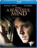 A beautiful mind (Un Homme d