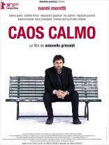 Caos Calmo (2008)