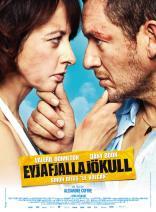 Eyjafjallajkull (2013)