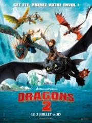 How To Train Your Dragon 2 (Dragons 2)